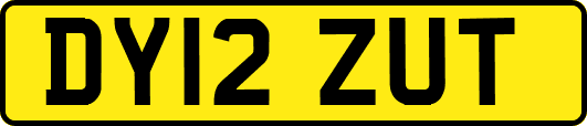 DY12ZUT