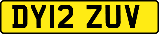 DY12ZUV