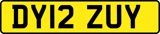 DY12ZUY