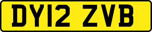 DY12ZVB