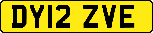 DY12ZVE