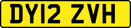 DY12ZVH