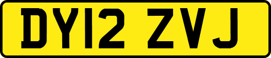 DY12ZVJ