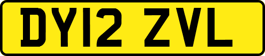 DY12ZVL