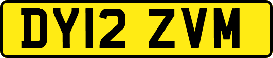 DY12ZVM