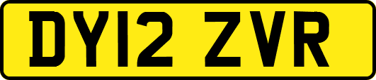 DY12ZVR