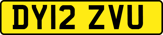 DY12ZVU