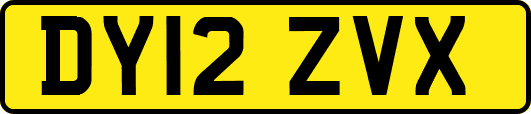 DY12ZVX