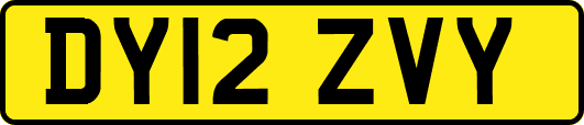 DY12ZVY