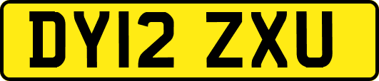 DY12ZXU