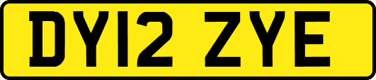 DY12ZYE