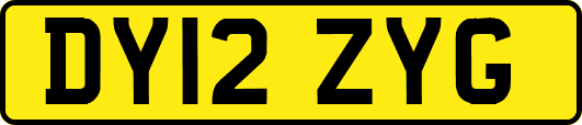 DY12ZYG