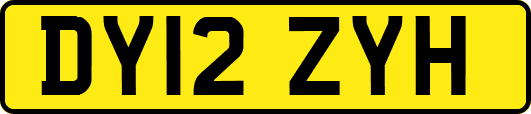 DY12ZYH