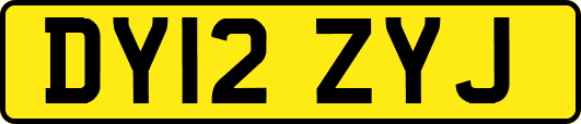 DY12ZYJ