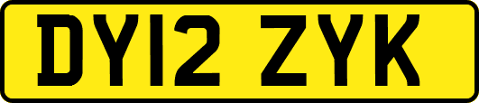 DY12ZYK