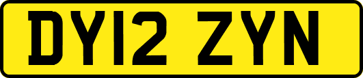 DY12ZYN
