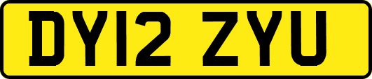 DY12ZYU