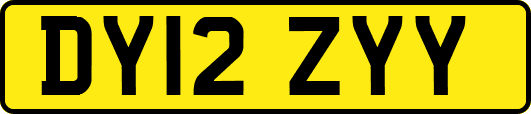 DY12ZYY