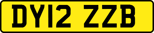 DY12ZZB