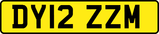 DY12ZZM