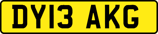 DY13AKG