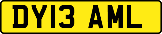 DY13AML