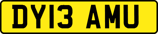 DY13AMU