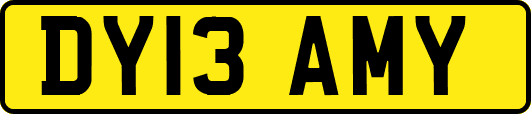 DY13AMY