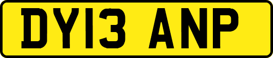 DY13ANP