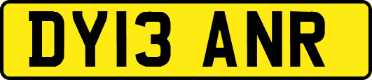 DY13ANR
