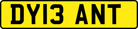 DY13ANT