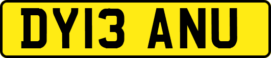 DY13ANU