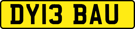 DY13BAU