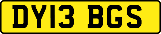 DY13BGS