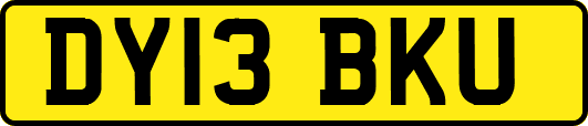DY13BKU