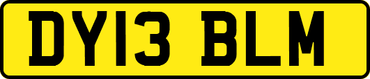 DY13BLM