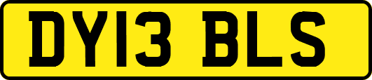 DY13BLS