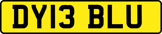 DY13BLU