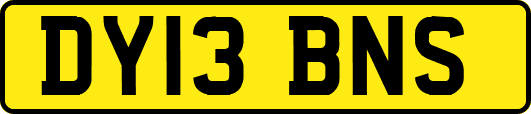 DY13BNS