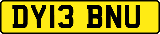 DY13BNU