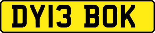 DY13BOK