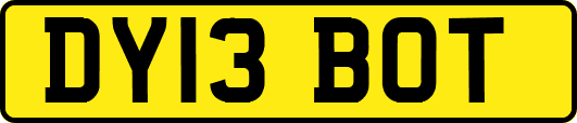 DY13BOT