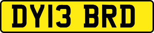DY13BRD
