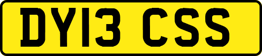 DY13CSS