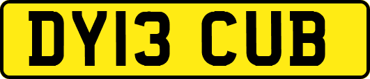 DY13CUB