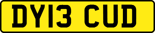 DY13CUD