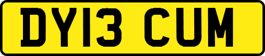DY13CUM