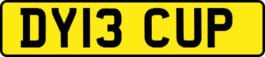 DY13CUP
