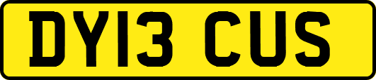 DY13CUS