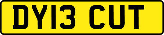 DY13CUT